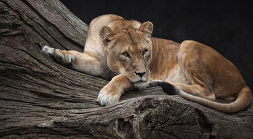 Umgebung und Freizeit